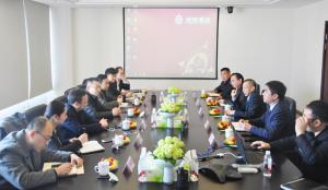 中新（重慶）戰略性互聯互通示范項目公司領導來訪